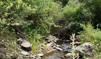 25653 Buckhorn Rd, Bellvue, CO 80512