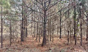 S Waller Rd, Bald Knob, AR 72010