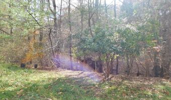 290 Angels Pass Dr Lot 1, Bastian, VA 24314