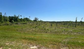 xxx County Hwy 73, Altha, FL 32421