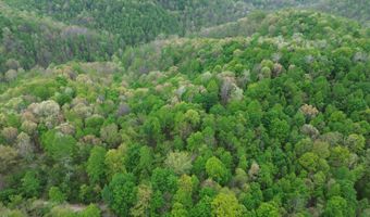 1271 A Tunnel Ridge Rd, Argillite, KY 41121
