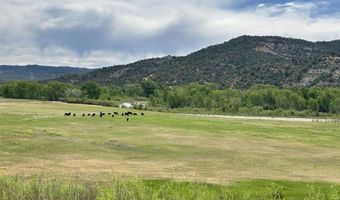 USFS RD 613, Arboles, CO 81147