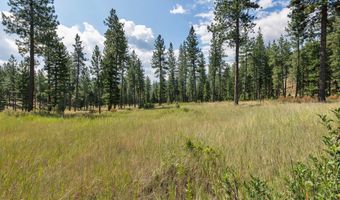 13902 Highland Trl, Alberton, MT 59820