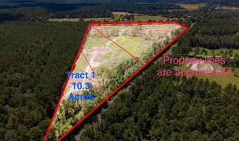 R53358 Tract 1 HWY 94, Apple Springs, TX 75926