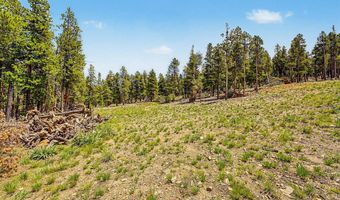 52 Meadowlake Dr, Black Hawk, CO 80422