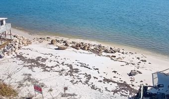 1269 Alligator Dr, Alligator Point, FL 32346