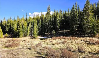 PCS # 7765 & 12057 Rollies Trail lot 0, Alma, CO 80420