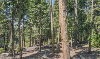 403 Sierra Pkwy, Camp Connell, CA 95223