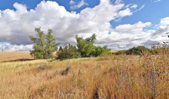 Boyd Lane, Anatone, WA 99401