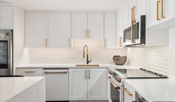 205 E Durant Ave Unit 1G, Aspen, CO 81611