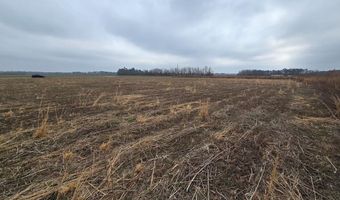 00 Manville Saint Charles Rd LOT 6B, Bishopville, SC 29010