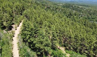 166 Jackalope Dr, Bayfield, CO 81122