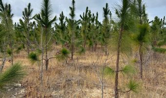 Red Oak Creek Road, Bethune, SC 29009