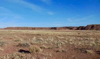 15 Co Rd N7284 40 Acres, Chambers, AZ 86502