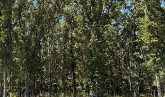 Saddle Creek Ct. lot 19, Alba, TX 75410