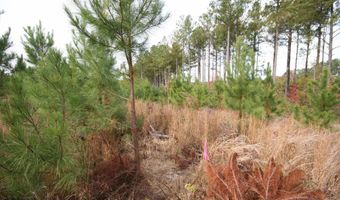 RIDGE RD lot 1, Arvonia, VA 23004