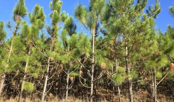 1228 River Rd, Ariton, AL 36311