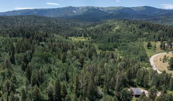 791 LONESOME DOVE Trl, Alpine, WY 83128