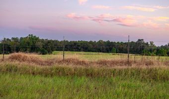 100 Acres Harmony Church Rd, Andalusia, AL 36421