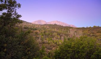 Old Herron Road lot 48, Basalt, CO 81621