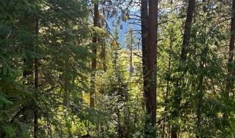 459 Collier Vw, Cascade, ID 83611