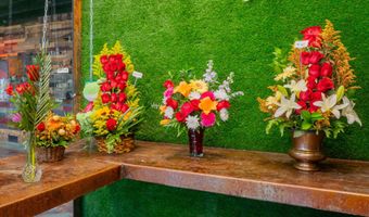 703 E WESTERN Ave, Avondale, AZ 85323