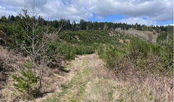 Northrup Creek Rd, Birkenfeld, OR 97016