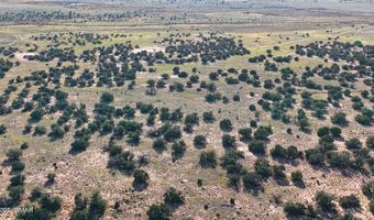 N5504, Concho, AZ 85924