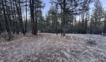 Bobcat Circle, Beatty, OR 97621