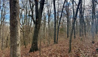 Farm Rd 1187 Lc, Ash Grove, MO 65604