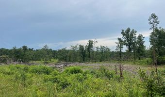 TBD Hwy 84, Amity, AR 71921