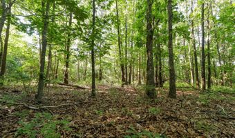 Private Drive Off Of Fr 1245, Aurora, MO 65605