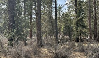 Bufflehead Drive TL 10, Bonanza, OR 97623
