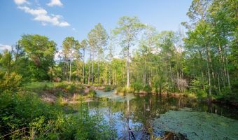 0 DM TILLMAN, Baxley, GA 31563