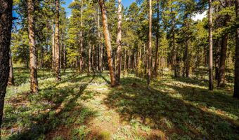 128 Piton Pl, Buffalo, WY 82834