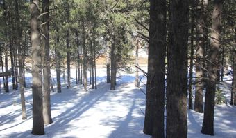 Lot 608 Via Del Rey, Angel Fire, NM 87710