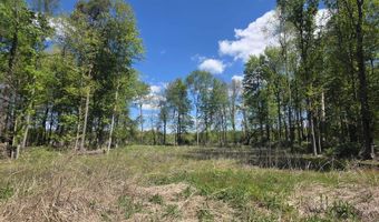 15252 27 Mile Rd, Albion, MI 49224