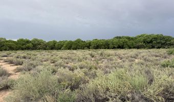 Winery Road, Bosque, NM 87006