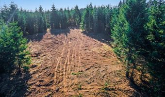NW Lodge Rd, Banks, OR 97106