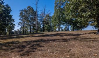 18180 Us 160, Alton, MO 65606