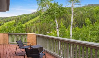 60 Elk Track Ct, Beaver Creek, CO 81620