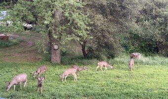 45416 Road 621, Ahwahnee, CA 93601
