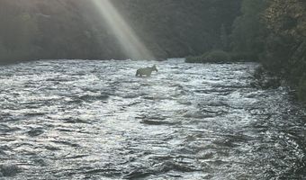 198 Poudre River Rd, Bellvue, CO 80512