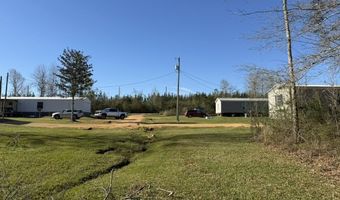 1404 SW Gene Rd, Bogue Chitto, MS 39629