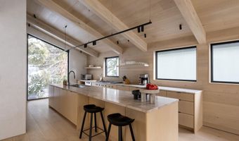 609 W Francis St, Aspen, CO 81611