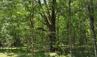 N Osborntown Rd, Arlington, TN 38002