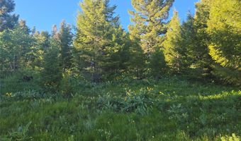 1 Big Sky Ridge Rd, Drummond, MT 59832