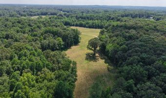 0000 Mifflin Rd, Beech Bluff, TN 38301