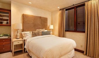 945 E Cooper Ave, Aspen, CO 81611