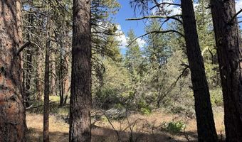 Thunderbear Road 46, Bonanza, OR 97623